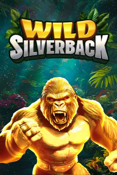 Wild Silverback